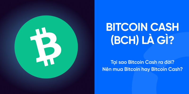 Bitcoin Cash (BCH) Là Gì Khái Niệm Và Nguồn Gốc