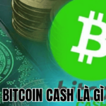 Bitcoin Cash Là Gì