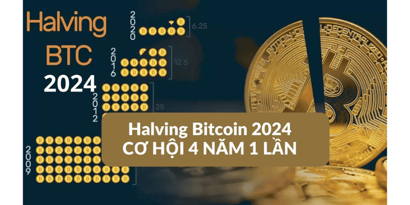 Chiến Lược Đầu Tư Hiệu Quả Trong Và Sau Bitcoin Halving