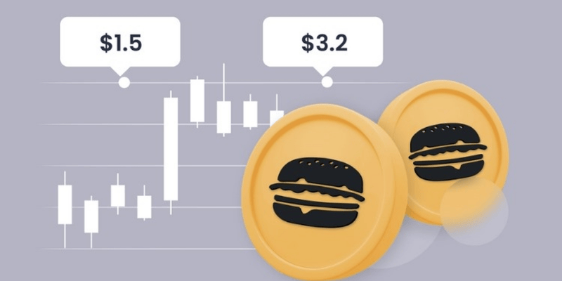 Đầu Tư vào Burger Coin Rủi ro và Cơ hội