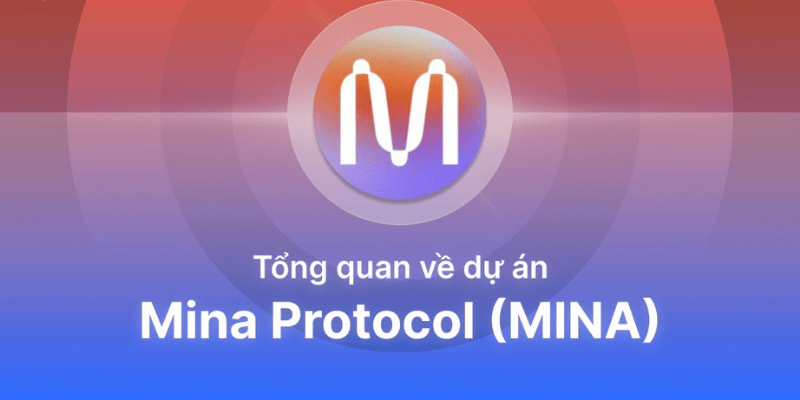 Mina Coin Là Gì Tổng Quan Về Mina Protocol