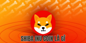 Shiba Inu Coin Là Gì