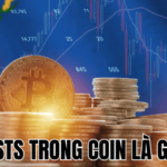 Sts Trong Coin Là Gì