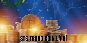 Sts Trong Coin Là Gì