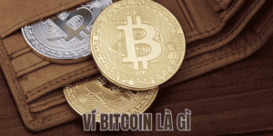 Ví Bitcoin Là Gì