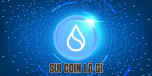 sui coin là gì